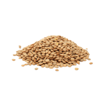 Dal/Lentils Beans Millets